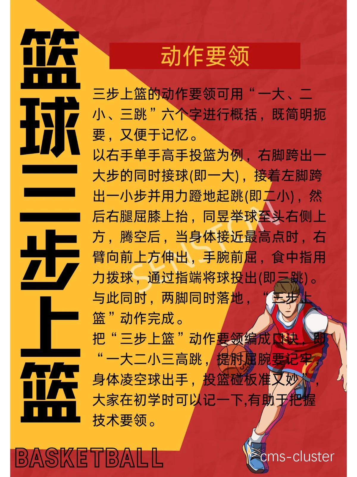 篮球运动训练的特点